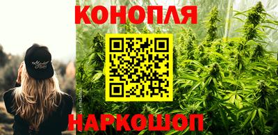 стаф Севастополь