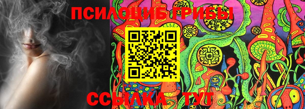 Псилоцибиновые грибы Cubensis Россия